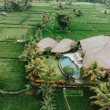 Villa Omah Padi Ubud Exterior foto